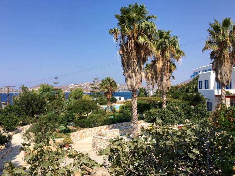 14364814_10157437168960317_5109798648617460006_n