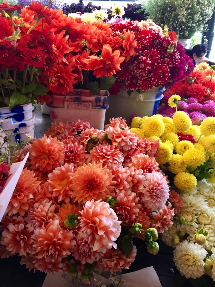 14717267_10157609497625317_2507332337728706455_n