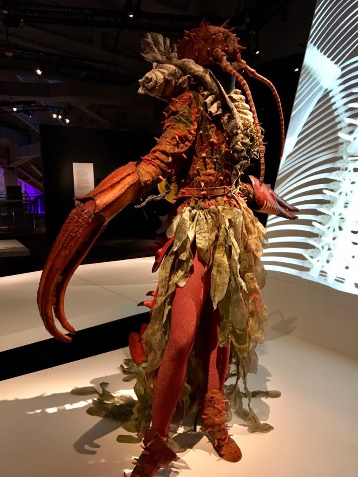 14717316_10157609506840317_8681371267039016824_n