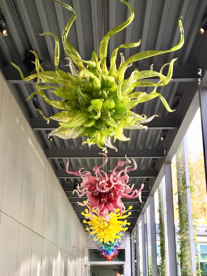 14732314_10157609505930317_9178478903595423253_n