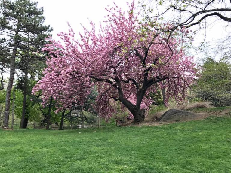 18118459_10158554462150317_3268662013949702185_n