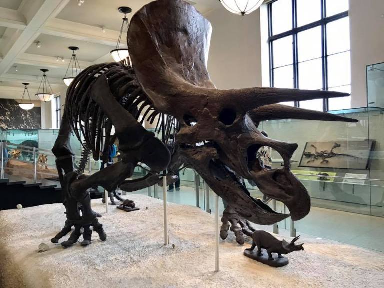 18194068_10158554461890317_8797703395894354087_n