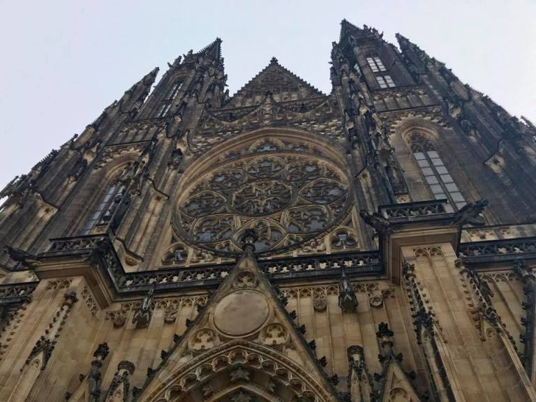 21766413_10159323476425317_8572453820402007810_n