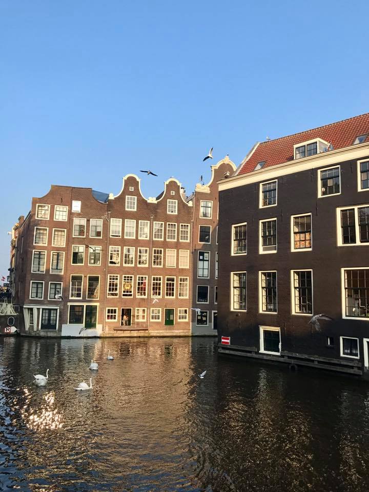 22195269_10159351772835317_4583849552733725824_n