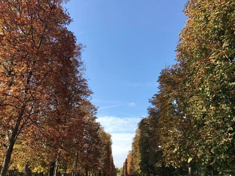 22154434_10159351773585317_6076672181829132164_n