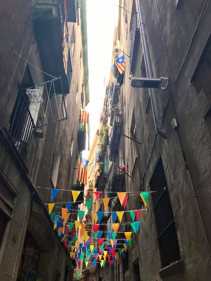 22308882_10159374468975317_8852853540905841171_n